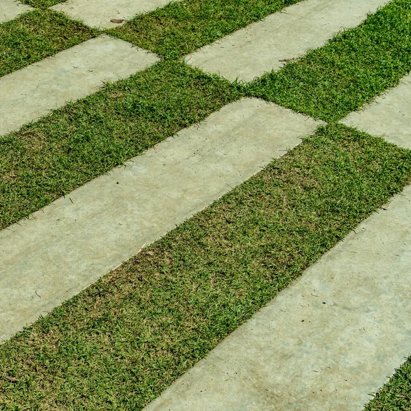 Betongväg Med Grönt Gräs Parken — Stockfoto