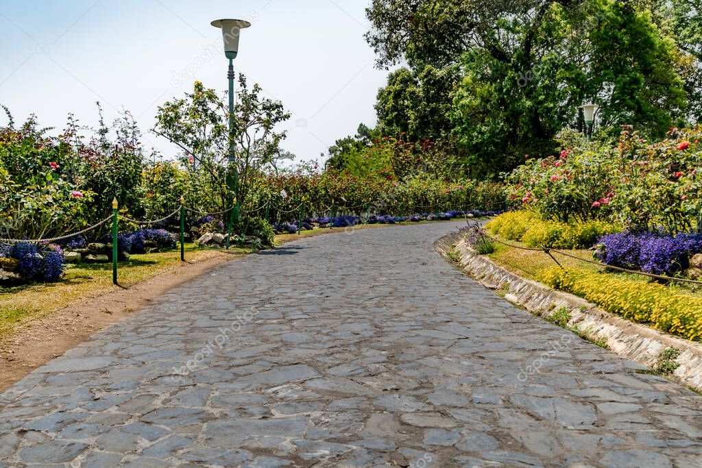 Gray stone pathway in the park