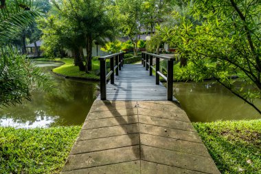 Yol ve ahşap Parktaki küçük ayak köprüsü