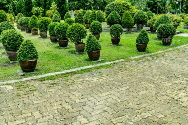 Parkta beton yol