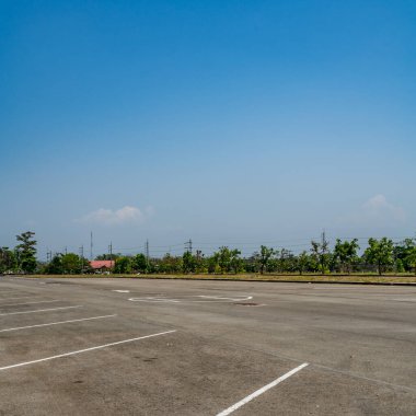 Asfalt yeşil ağaçlı boş otopark