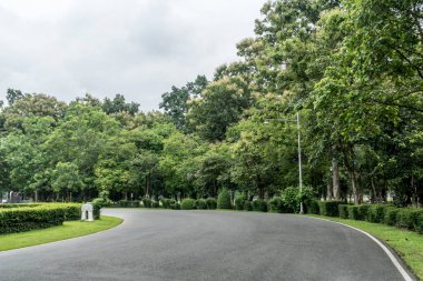 Asfalt yolu kıvrımlı yeşil ağaçlar ve parktaki çalı bitkileri