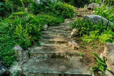 Parkta yeşil bitkiler olan yaşlı beton merdiven