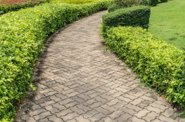 Parkta beton yol