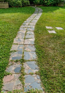 Parkta yeşil çimenler olan taş beton yol.