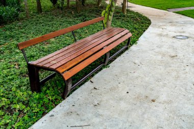 Parkta yeşil bitkiler olan ahşap park bankında