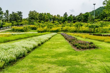 Parkta yeşil çimenler olan çiçek tarhı