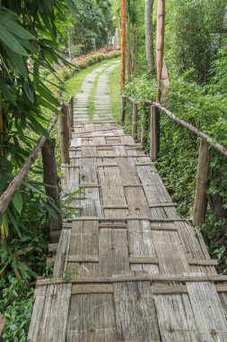 Bambu merdiveni ve beton yol