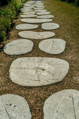 Parkta çiçek ve ağaçların olduğu beton patika