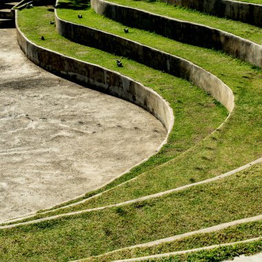 Beton adımlı yeşil çimenler