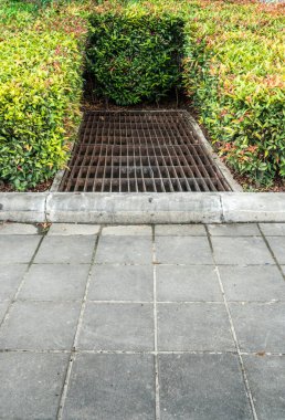 Kırpılmış çalılıklarla kaplı paslı metal drenaj kapağı