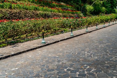 Renkli çiçekler, gri beton zeminli çitler.