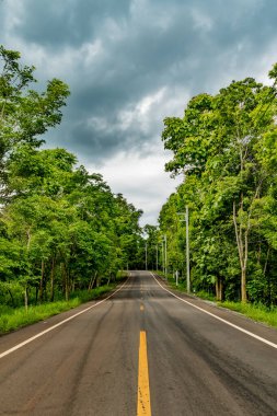 Tayland kırsalında yeşil tropikal ormanlı asfalt yol
