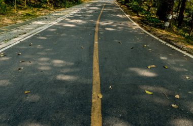 Ormana giden yolda sarı kavis işareti