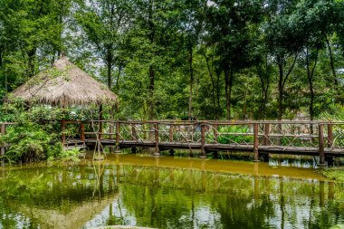 Parkta geleneksel köşkü olan tahta köprü.