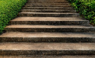 Yeşil budanmış bitkileri olan eski beton merdiven