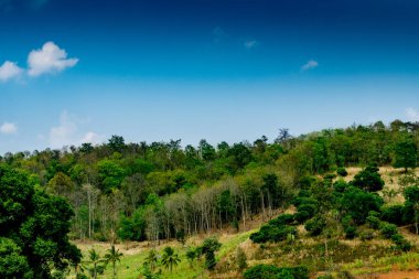 Mavi arka planda beyaz bulutlu dağ ve orman