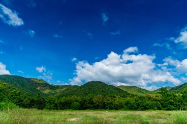 Mavi arka planda beyaz bulutlu dağ ve orman