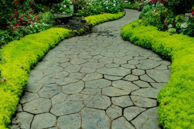 Parkta yeşil bitkilerle beton yol