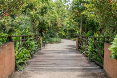 Yol ve bahçedeki küçük ahşap köprü
