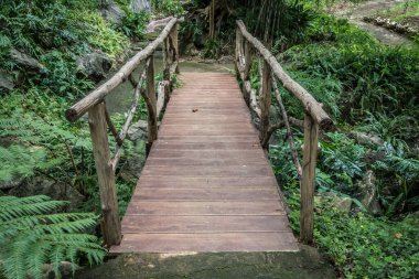 Bahçedeki küçük tahta köprü