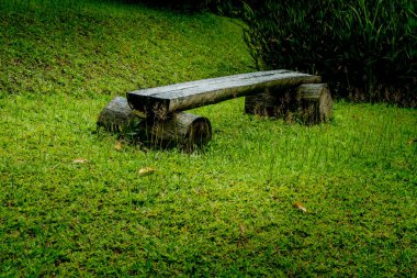 Parktaki yeşil çimlerin üzerindeki ahşap park bankı