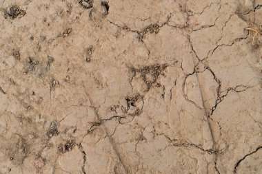 Çatlak kuru arazi dokusu arkaplanı