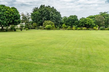 Ağaçlı yeşil çimenler ve yeşil budanmış çalılar.
