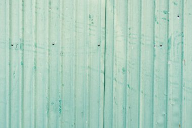 Yeşil metal çatılı