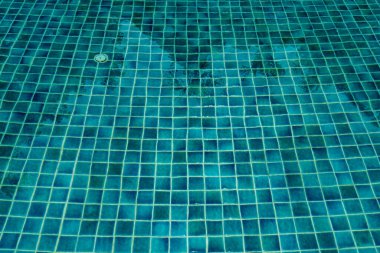 Yüzme havuzunda yeşil su ve suyun altındaki çizgi.