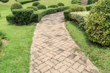 Parkta budanmış bitkilerle beton yol