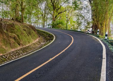 Parktaki tepeye giden asfalt yolda.