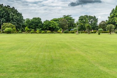 Ağaçlı yeşil çimenler ve yeşil budanmış çalılar.