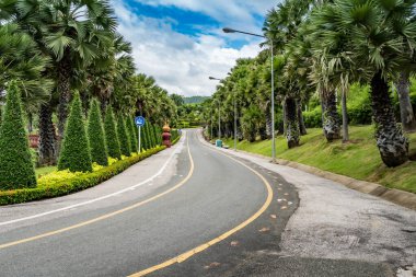 Parktaki asfalt yolda.