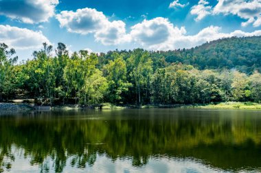 Yeşil gölü olan tropik yeşil orman