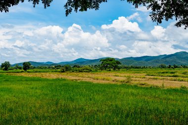 Mavi gökyüzü ve yeşil dağlı beyaz bulut