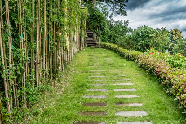 Tepedeki beton yol bambu çitlerle dolu.