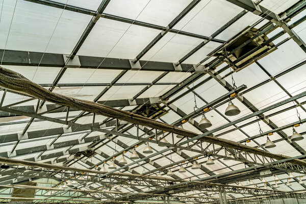 Inside Image of greenhouse's roof