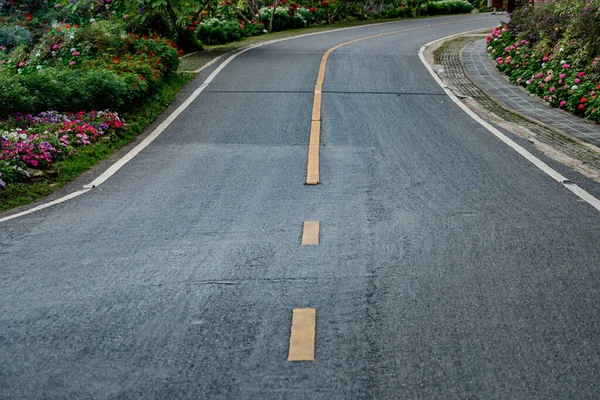 Asphalt road with colorful flowers in the park