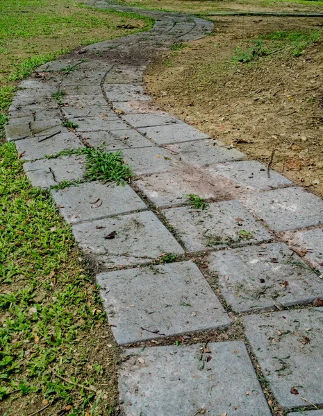 Chemin Blocs Béton Courbe Dans Parc — Photo