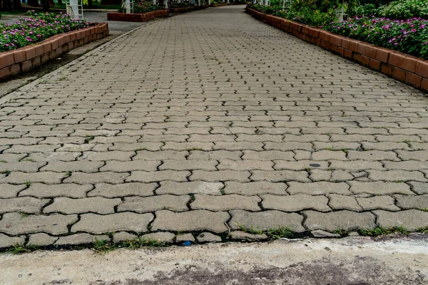 Chemin Blocs Béton Dans Parc — Photo