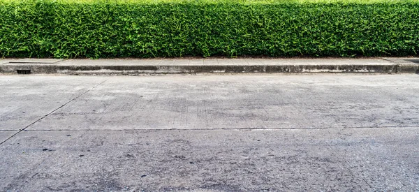 Recinzione Siepe Verde Con Strada Cemento — Foto Stock