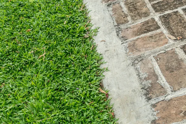 Latar Belakang Rumput Dan Jalan Batu Bata Terbagi — Stok Foto