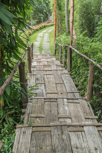 Escada Bambu Caminho Concreto — Fotografia de Stock