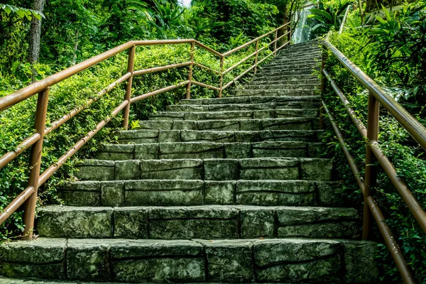 Tangga Beton Tua Dengan Pagar Besi Dan Tanaman Hijau — Stok Foto