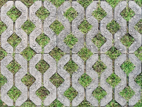 Betonnen Blok Vloer Met Groen Gras — Stockfoto