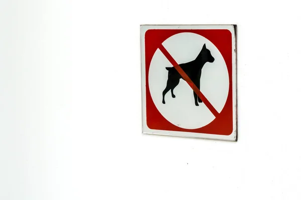 Δεν Επιτρέπονται Σκυλιά Υπογράψει Λευκό Τσιμεντένιο Τοίχο — Φωτογραφία Αρχείου
