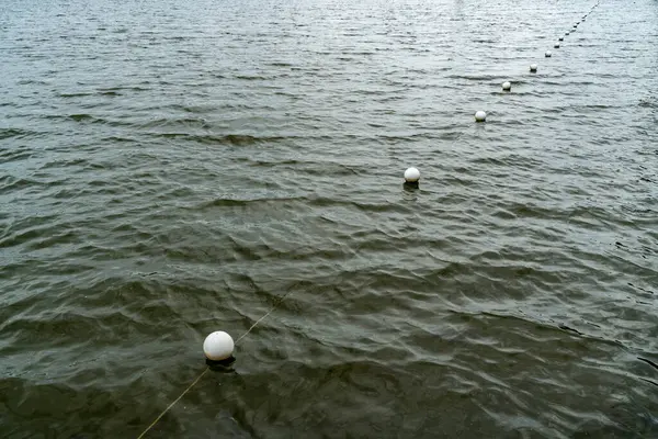 Bouées Marqueurs Plastique Blanc Flottant Dans Lac — Photo