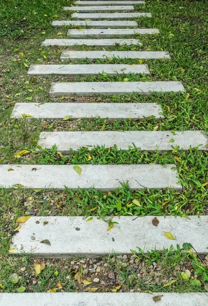 Chemin Bétonné Dans Pelouse — Photo