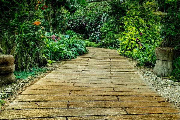 公園内の緑の植物との具体的な経路 — ストック写真